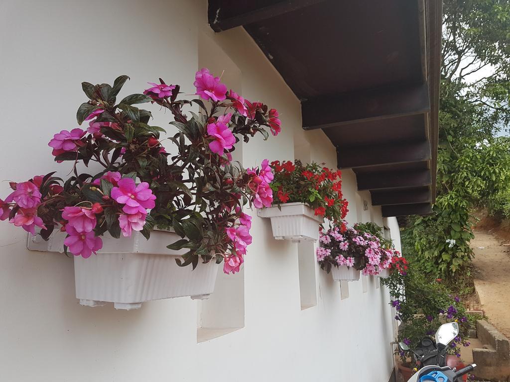 무나르 Gruenberg Tea Plantation Haus B&B 외부 사진
